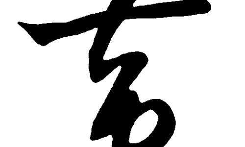 男士三七花茶的功效网 - 网站提供三七花茶功效作用小常识、男士三七花茶的功效是什么