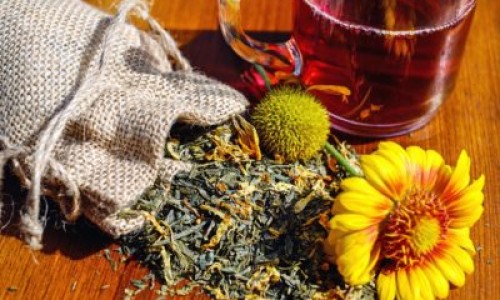 三七花茶泡水喝有什么功效和作用-男士三七花茶的功效网 - 网站提供三七花茶功效作用小常识、男士三七花茶的功效是什么